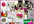 post an awesome ad of your wedding related website on my wedding site
