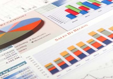 send you a complete 50 to 100 pages indepth ibp SEO optimization and ranking report for your website big1