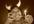 scream loudly any message repeatedly for 30 seconds