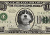 put your face on a million dollar bill