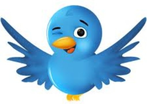 show you a underground method to make 225 dollars in 15 mins with a new twitter account and zero followers and following big1