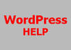 help you with your WordPress task