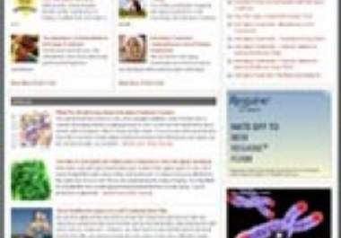 give you a complete website templates package big1