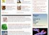 give you a complete website templates package small1