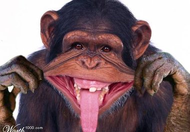 make you laugh big1