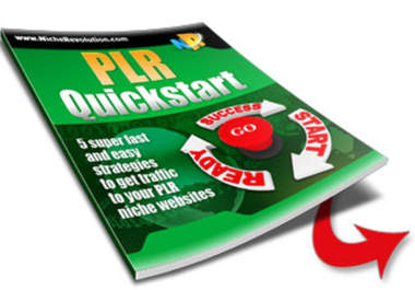 give you the PLR Quickstart Report and List Building Profit System plus Bonus total of 7 Strategies big1