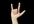 teach you 50 different American Sign Language signs 