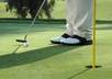 teach you how to take 10 putts off your golf game Right Now