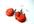 make you delicious looking apple EARRINGS