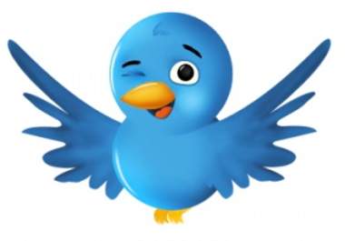 tweet your product or link twice a day to over 2700 loyal twitter followers big1