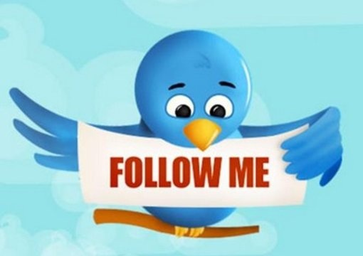 give you 10k Twitter IDs from Health and Fitness niche just big1