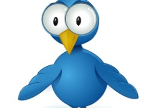 get you 100+ TARGETED Real Twitter Followers and Clean Your Account from People that are Not Following you back big1