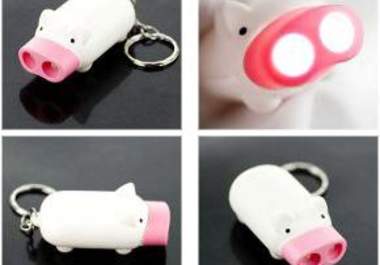 send you a Mini Pig 2 LEDs Flashlight big1