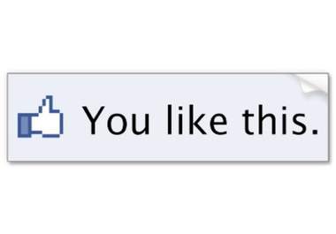 get you 100 facebook likes in 1 day big1