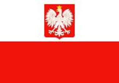 do Polish English translation big1
