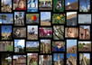 make you a video gallery and a photo gallary for your website