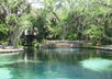 recommend the perfect place to visit or stay in Florida