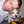 joenobles