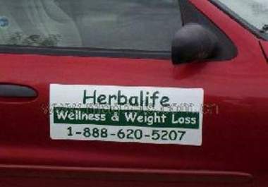 advertise your car magnet on a Orlando taxi for 3 days big1