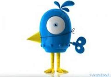host a twitter or identica bot on my VPS for 1 month, that will retweet whatever you want big1