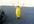 shout anything you want in a banana costume