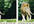 crop or Resize and convert any photo to any size you wish and save it in any format you choose