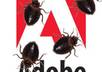 fix any problem related with Adobe Flash cs3 cs4/Action Script IMMEDIATELY
