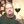 wineguy