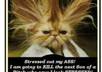 help you sort out your work woes