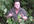 be the NatureGuy an Australian Nature Enthusiast for your message