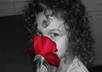 color selection on two photos of your choice within 24 hours