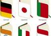 translate any legit language for you