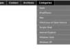 wordpress theme customization, menu customization