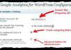 wordpress analytics for your website just