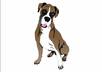 draw a vector clipart of your photo small1