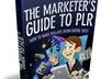 give you an Make Money Online With PLR ebook product with Master Resell Rights, Sales Copy and minisite
