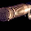 this_voice