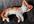accept your deposit on a cat sculpture that resembles your cat