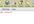 help with any html, php, csharp, cplusplus, sql, or javascript problem