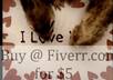 send you a video greeting with my ferrets painting I Love You and your choice of music small1