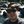 geologist