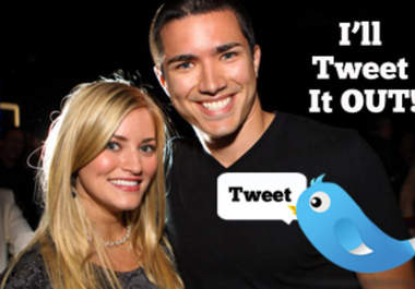 tweet a shoutout, product, or service to over 14,000 followers big1