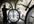 tell you best times to trade FOREX
