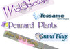 design a custom advertising Banner, custom banner, website banner, web banner