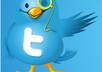 sell you a twitter account with more than 1200 twitter followers small1