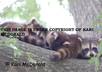 send you one of these awesome animal photos s small1