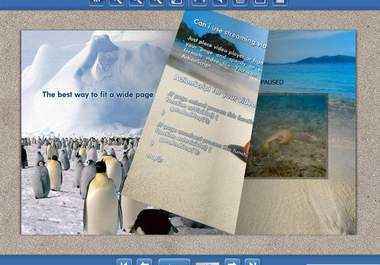 give you a flip flash album that you can customise big1
