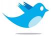 promote your business, project, or gig on my fast growing twitter page for a week small1