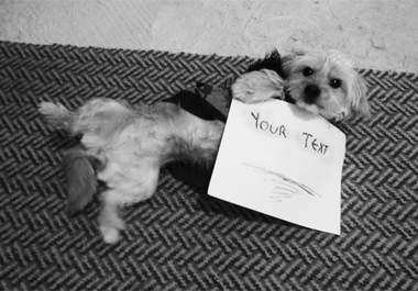 take an Awesome Retro picture of my Terrier holding a Fan Sign with your message big1