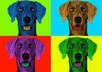 turn your photo or your pet photo into 4 or 9 Andy Warhol pop art